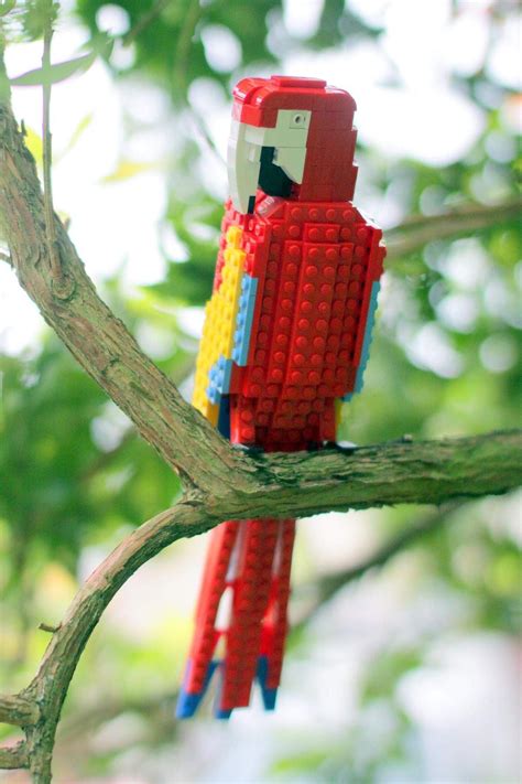 L­e­g­o­­d­a­n­ ­Y­a­p­ı­l­m­ı­ş­ ­2­0­ ­K­u­ş­ ­F­o­t­o­ğ­r­a­f­ı­